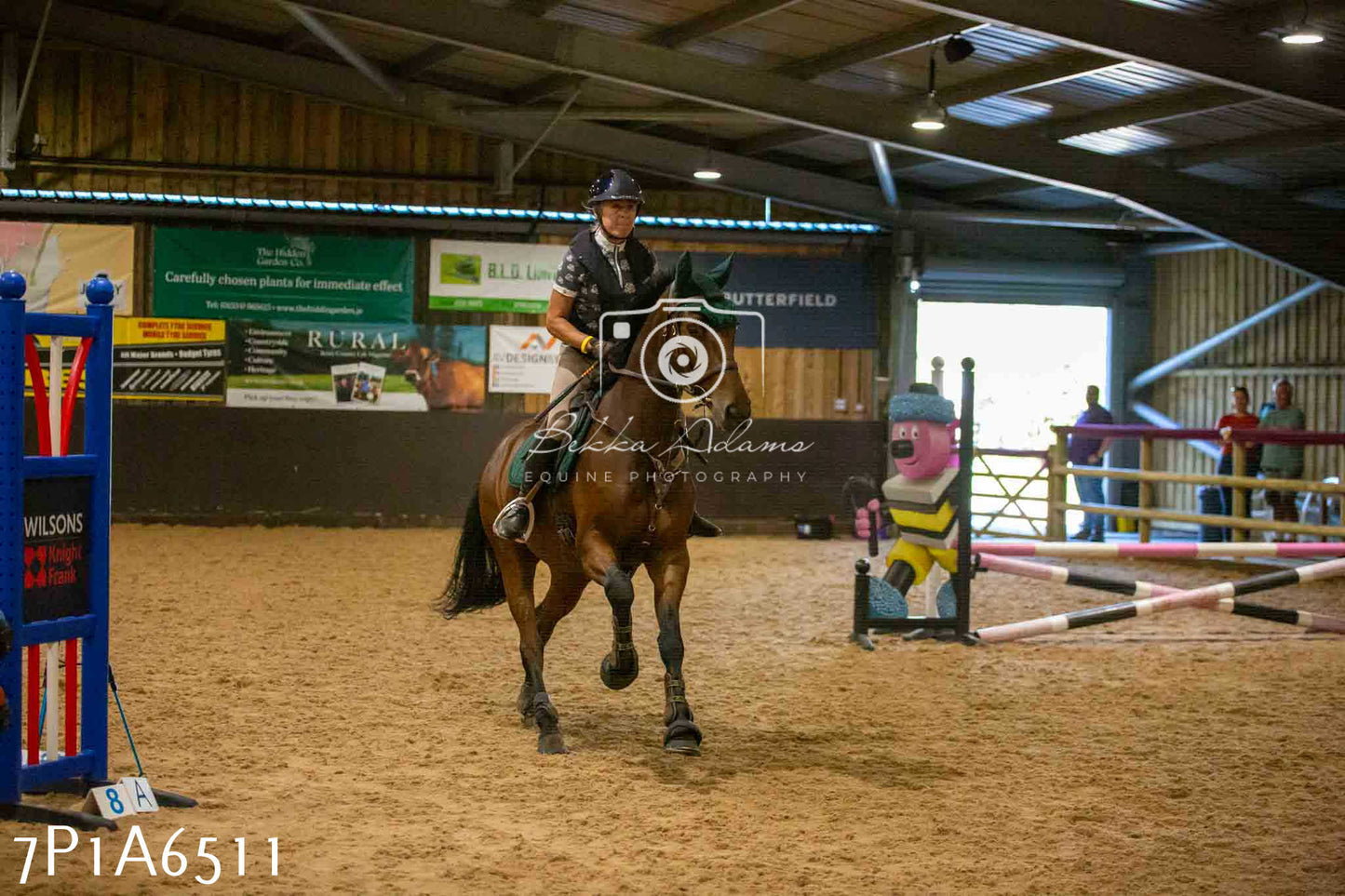 JHOYS 2023 - 15th September - Show Jumping