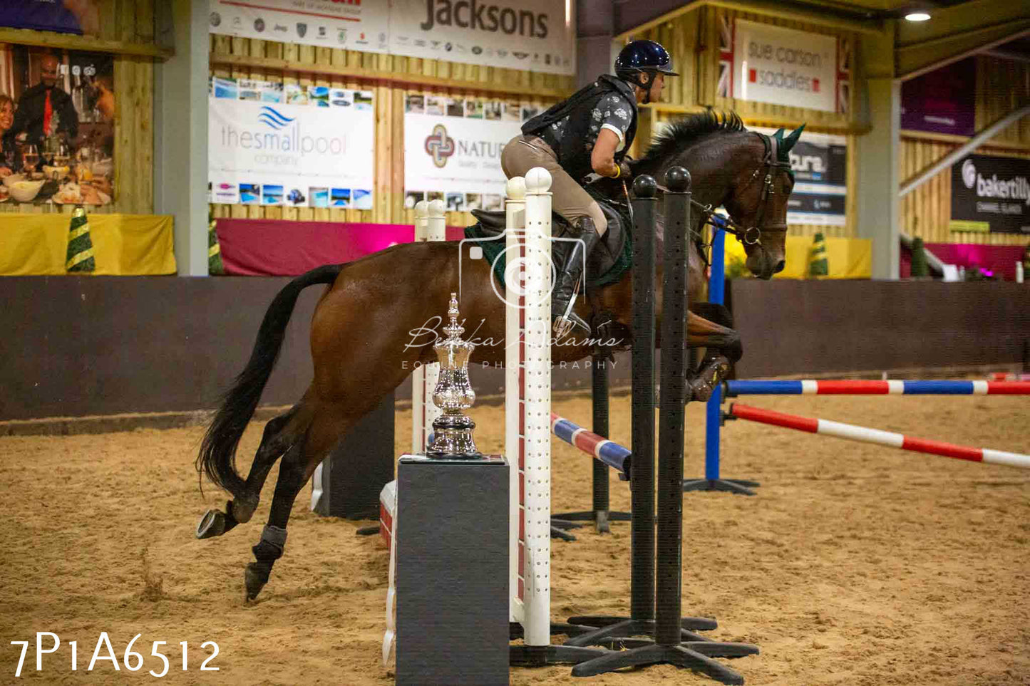 JHOYS 2023 - 15th September - Show Jumping