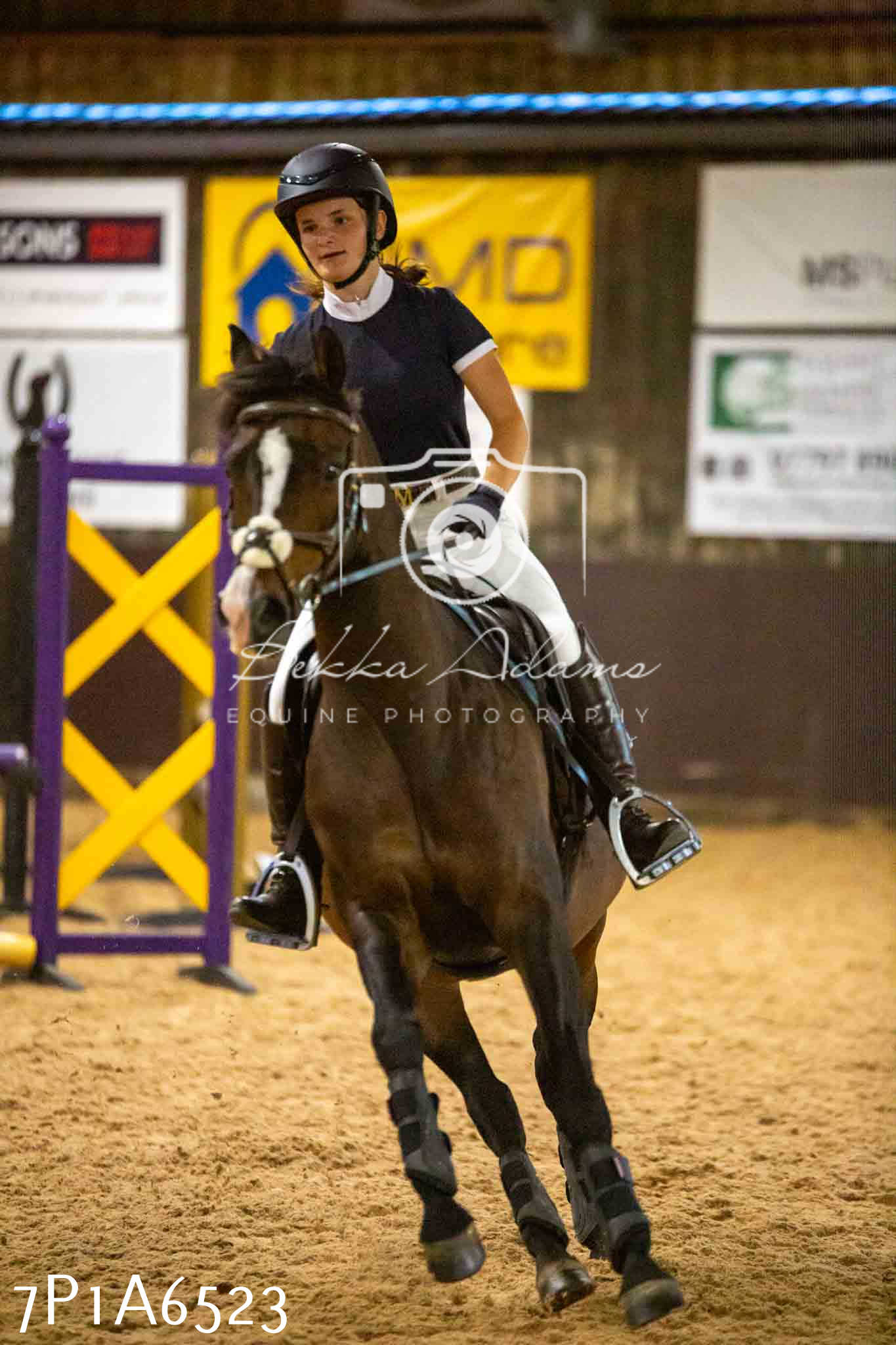 JHOYS 2023 - 15th September - Show Jumping