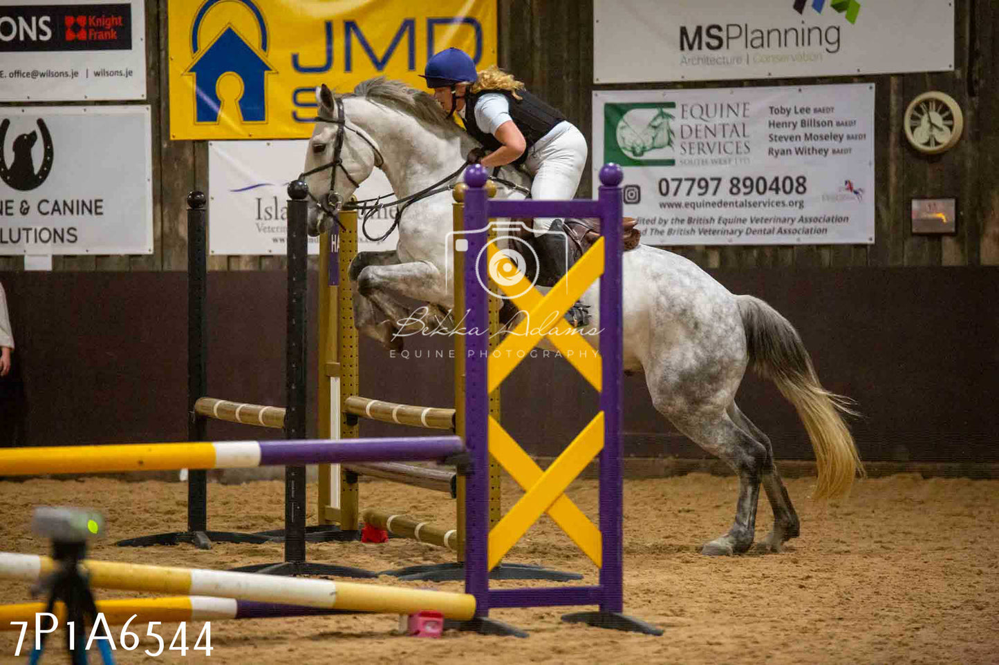 JHOYS 2023 - 15th September - Show Jumping