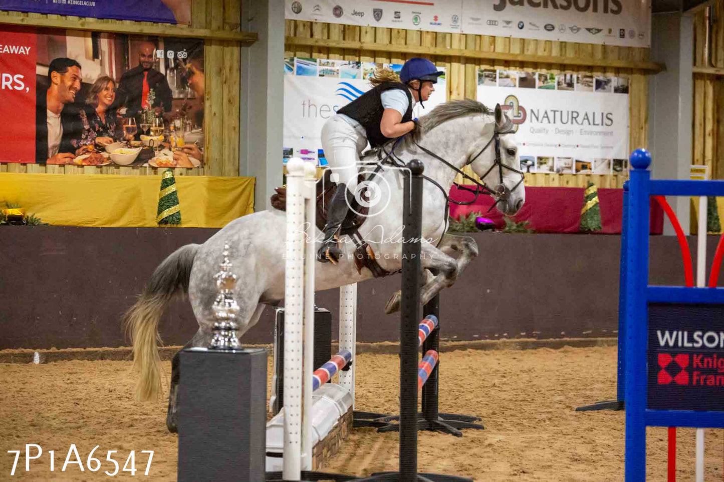 JHOYS 2023 - 15th September - Show Jumping