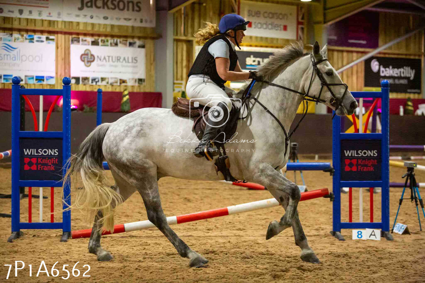 JHOYS 2023 - 15th September - Show Jumping