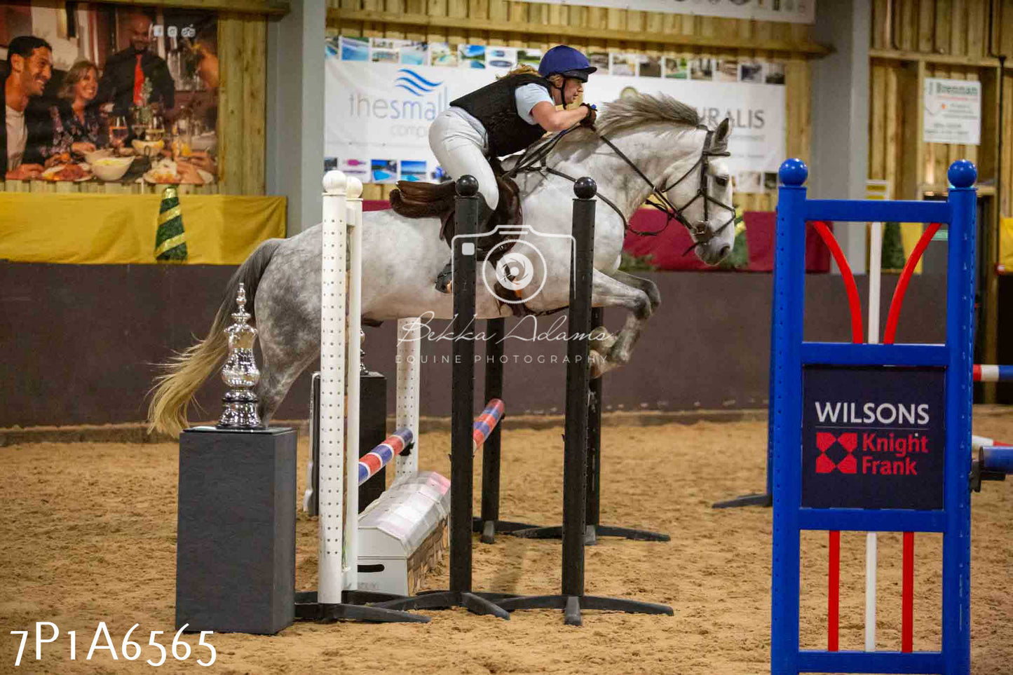 JHOYS 2023 - 15th September - Show Jumping