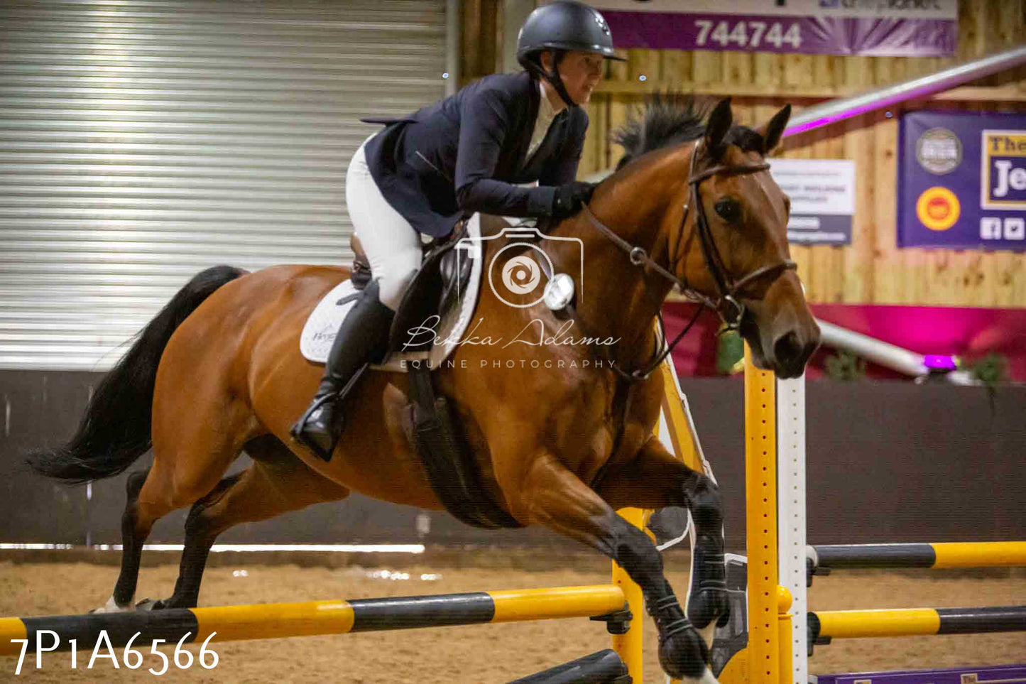 JHOYS 2023 - 15th September - Show Jumping