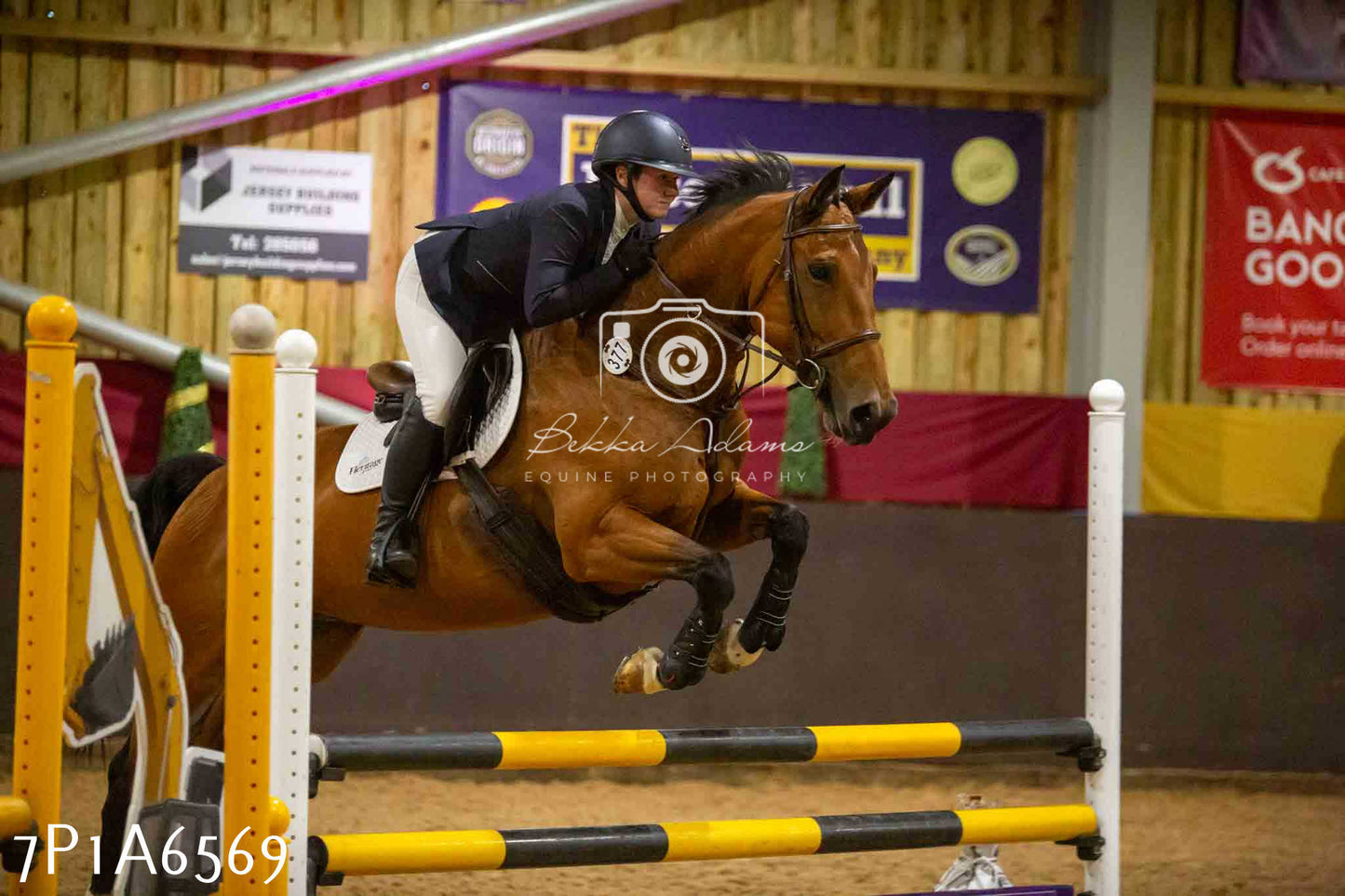 JHOYS 2023 - 15th September - Show Jumping
