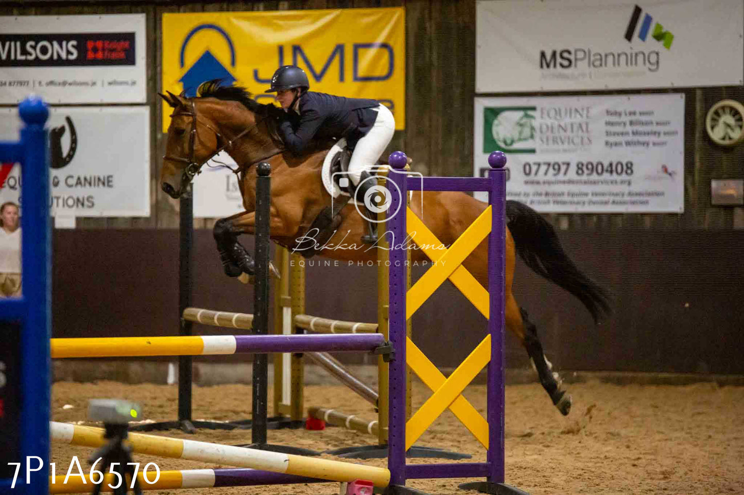 JHOYS 2023 - 15th September - Show Jumping