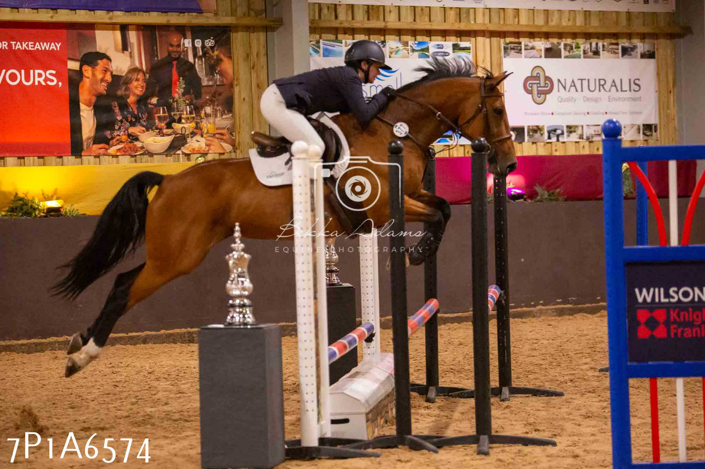 JHOYS 2023 - 15th September - Show Jumping