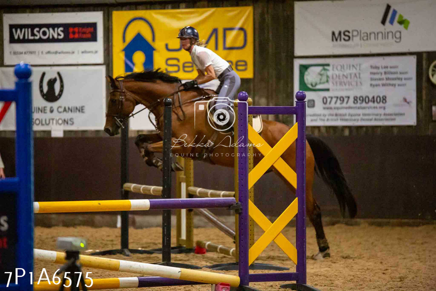 JHOYS 2023 - 15th September - Show Jumping