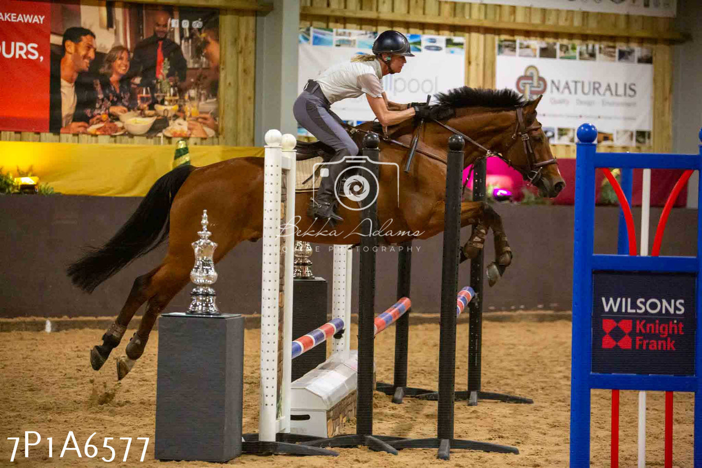 JHOYS 2023 - 15th September - Show Jumping