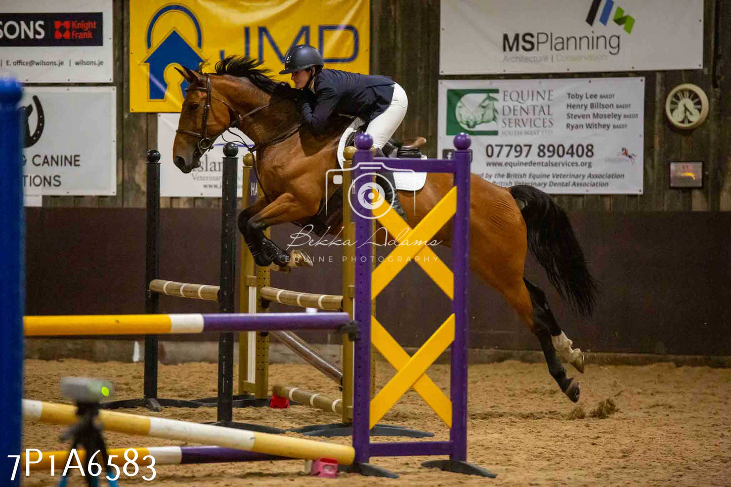 JHOYS 2023 - 15th September - Show Jumping