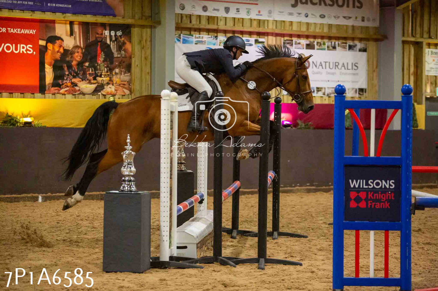 JHOYS 2023 - 15th September - Show Jumping