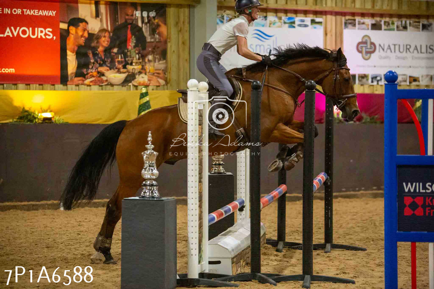 JHOYS 2023 - 15th September - Show Jumping