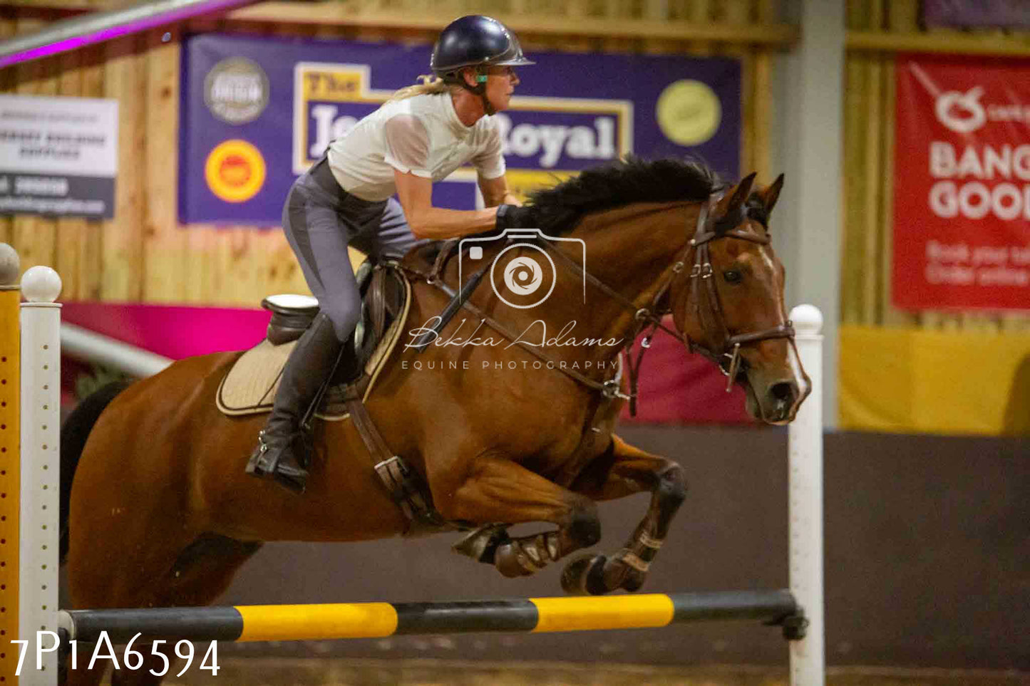 JHOYS 2023 - 15th September - Show Jumping