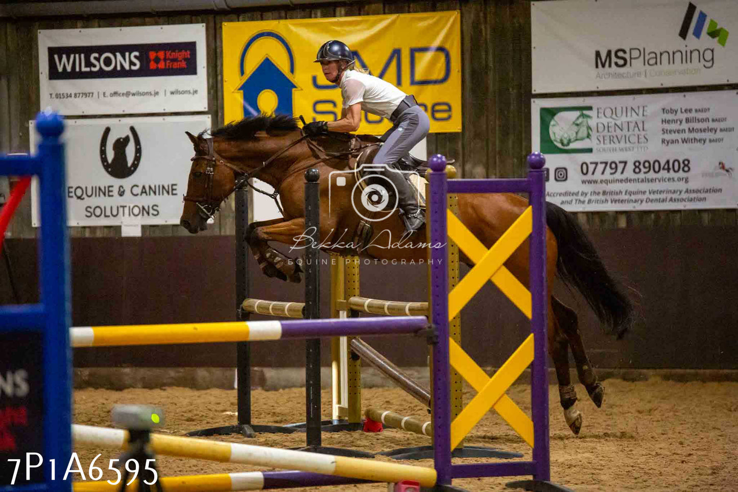 JHOYS 2023 - 15th September - Show Jumping