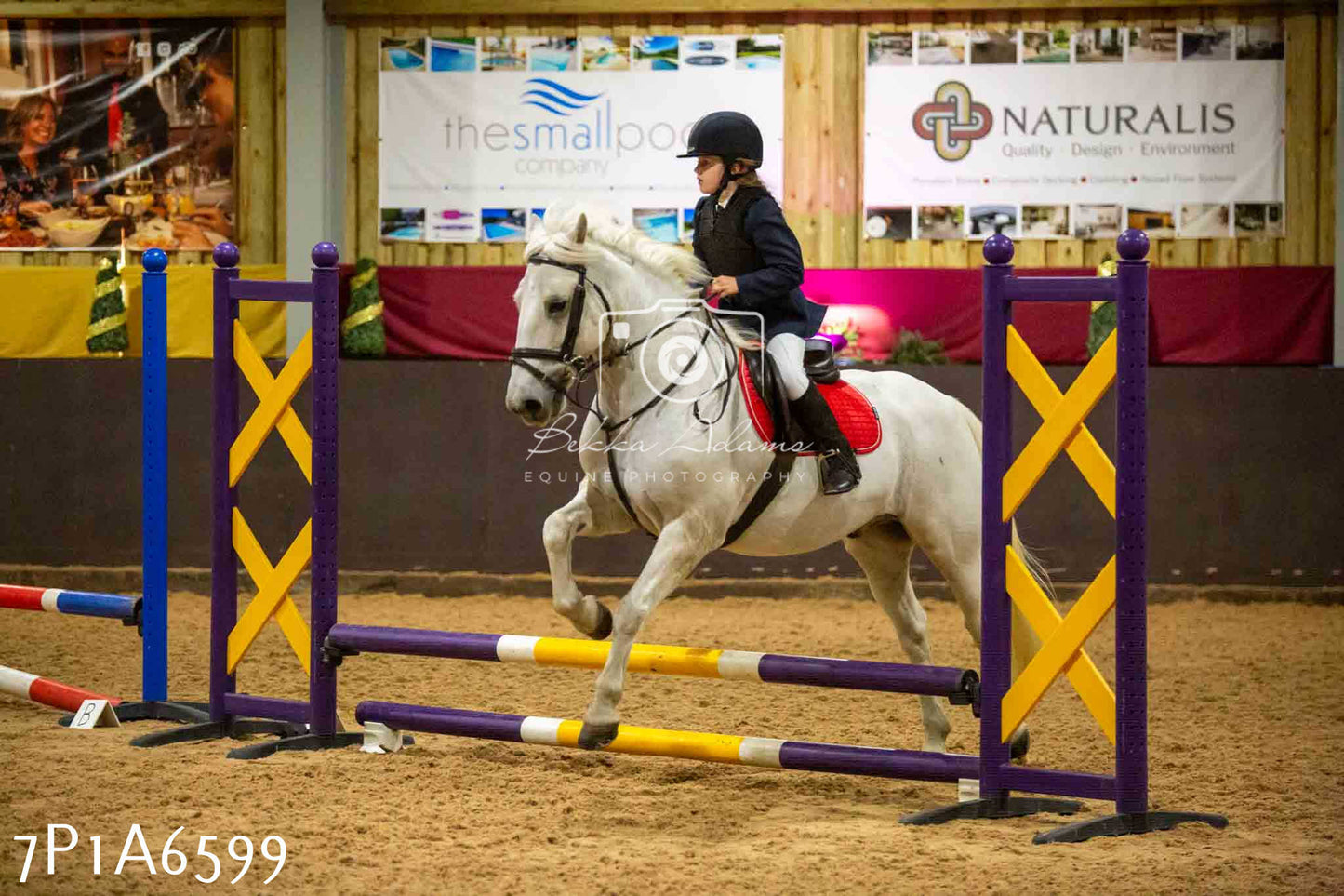 JHOYS 2023 - 15th September - Show Jumping