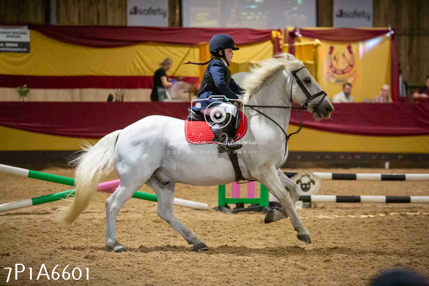 JHOYS 2023 - 15th September - Show Jumping
