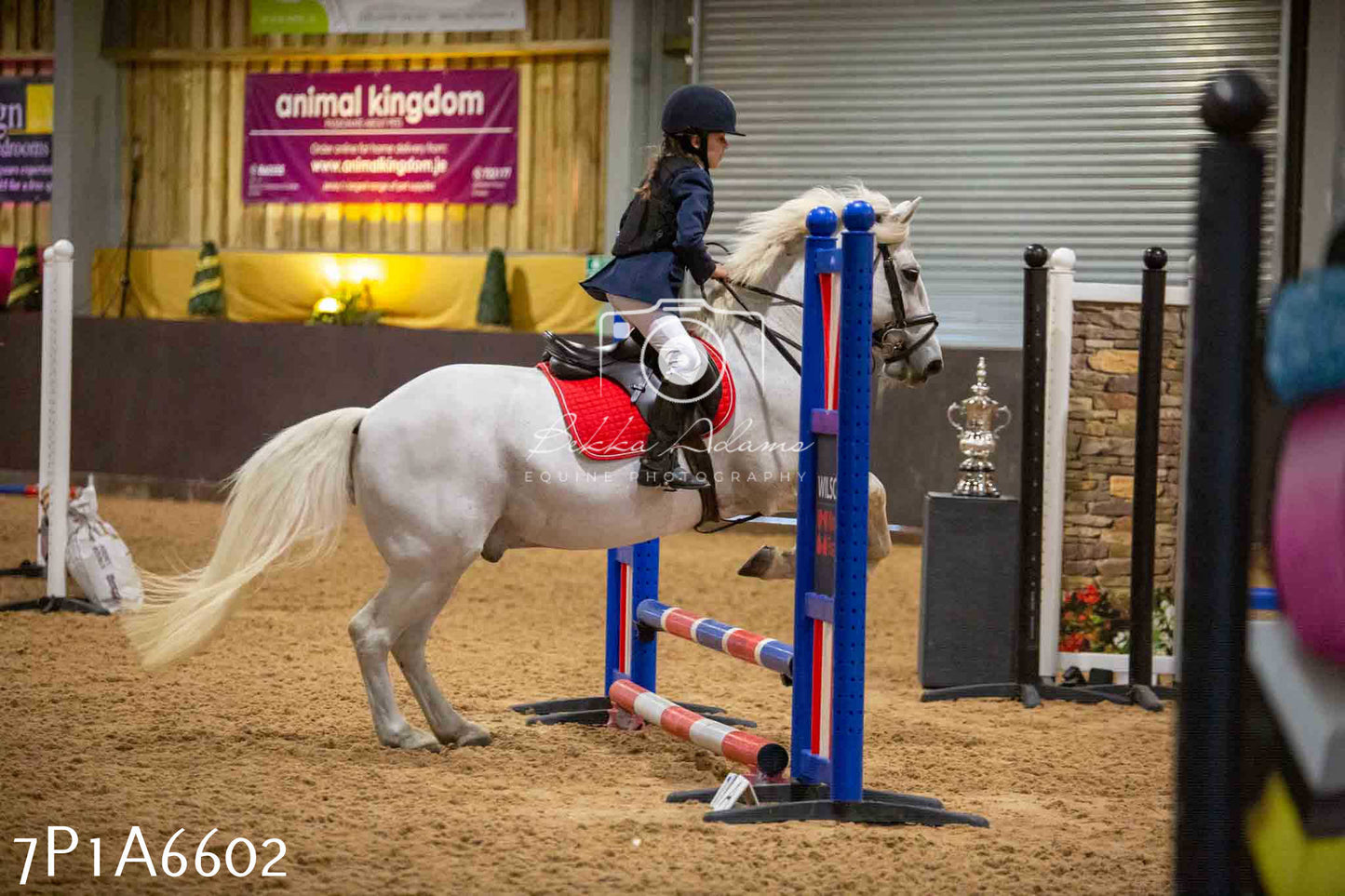 JHOYS 2023 - 15th September - Show Jumping