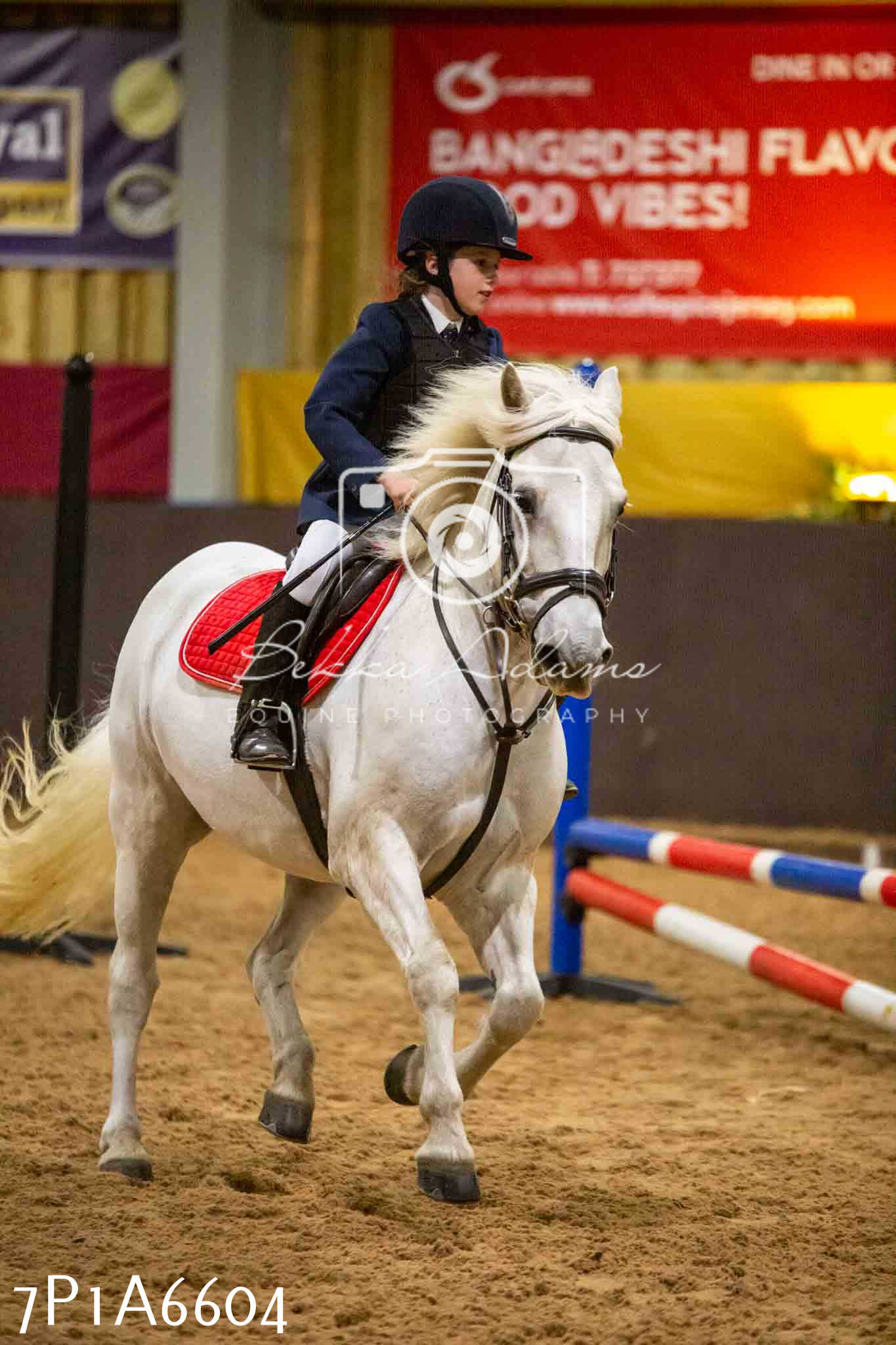 JHOYS 2023 - 15th September - Show Jumping