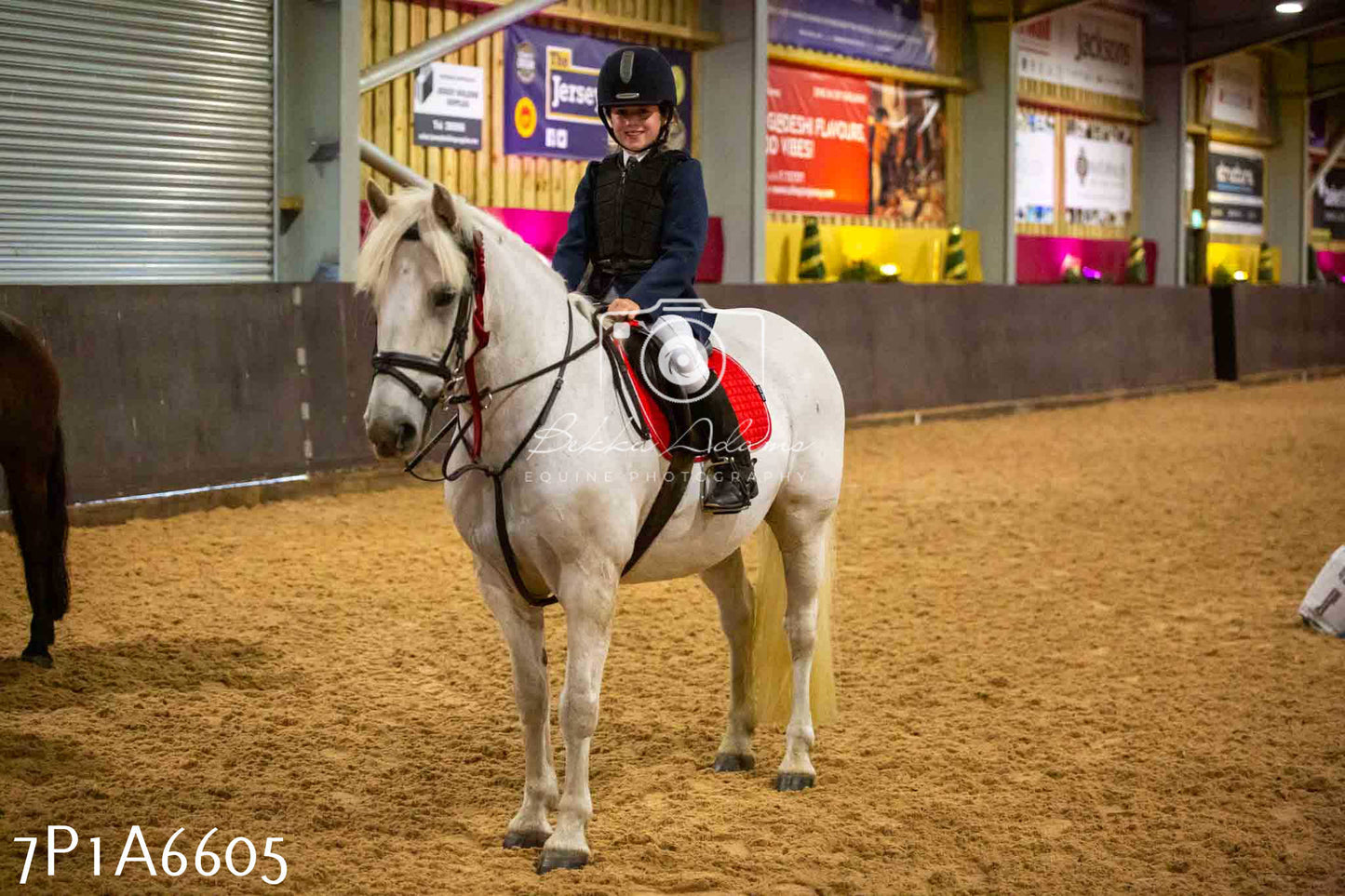 JHOYS 2023 - 15th September - Show Jumping
