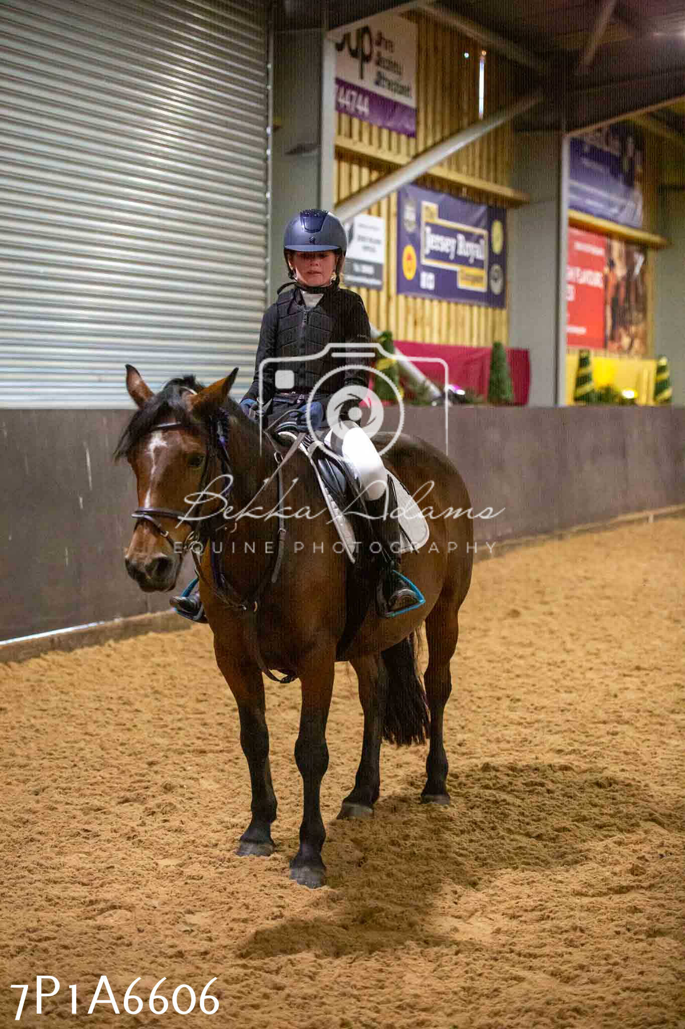 JHOYS 2023 - 15th September - Show Jumping