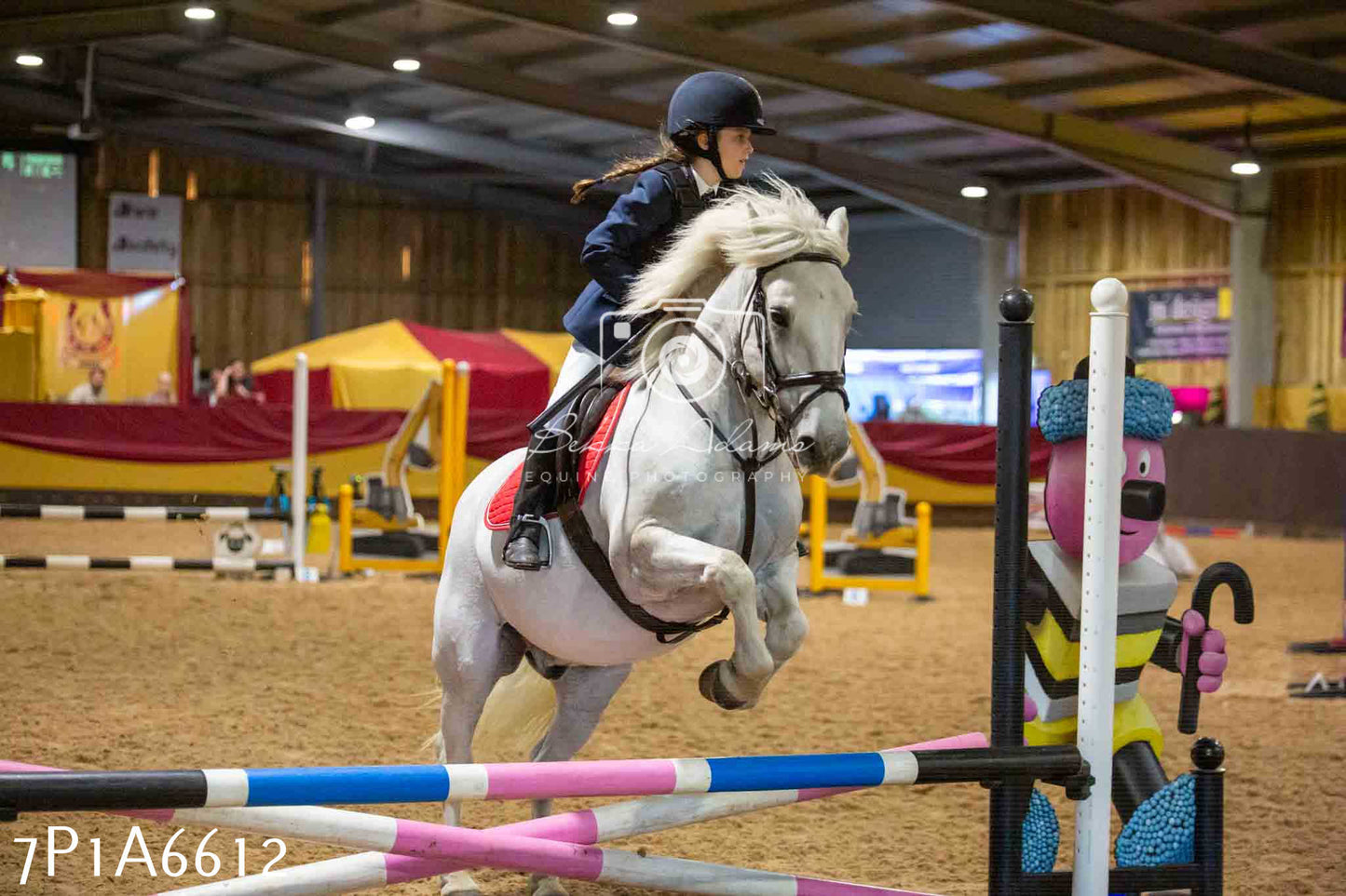 JHOYS 2023 - 15th September - Show Jumping