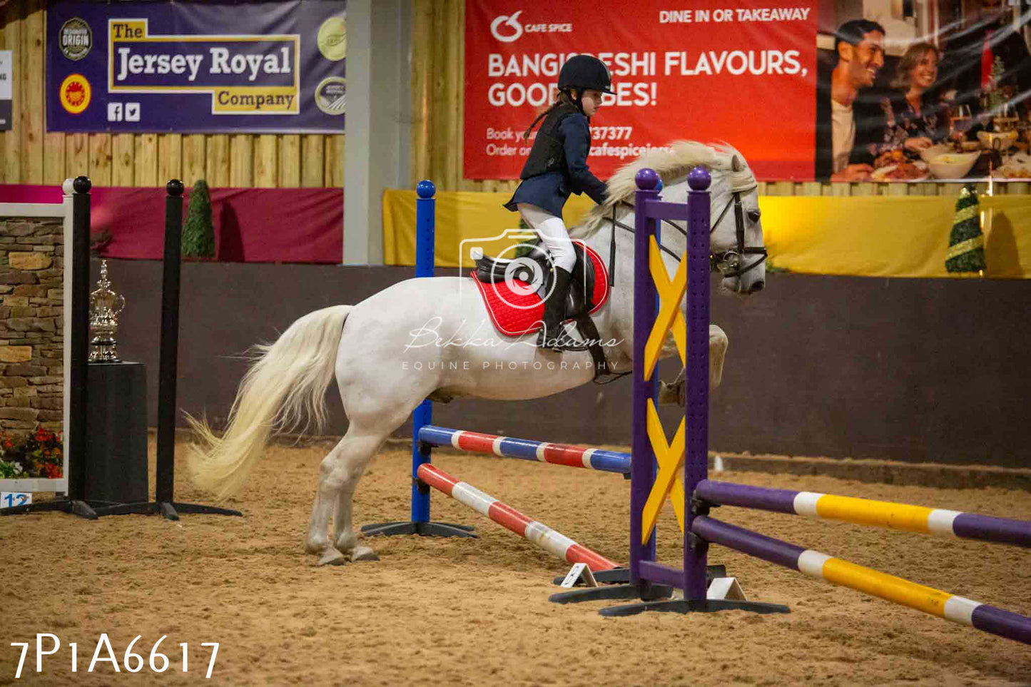 JHOYS 2023 - 15th September - Show Jumping