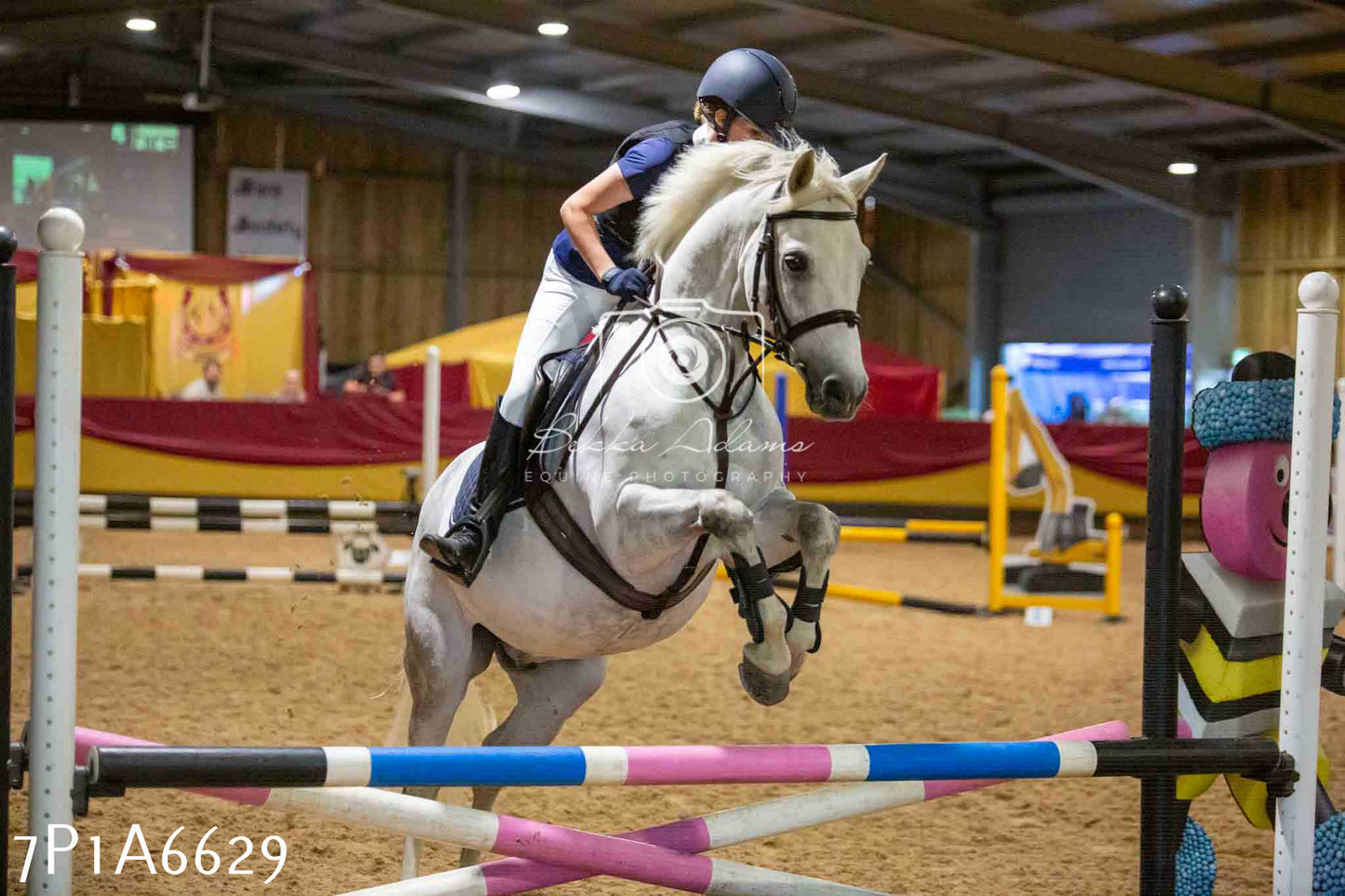 JHOYS 2023 - 15th September - Show Jumping