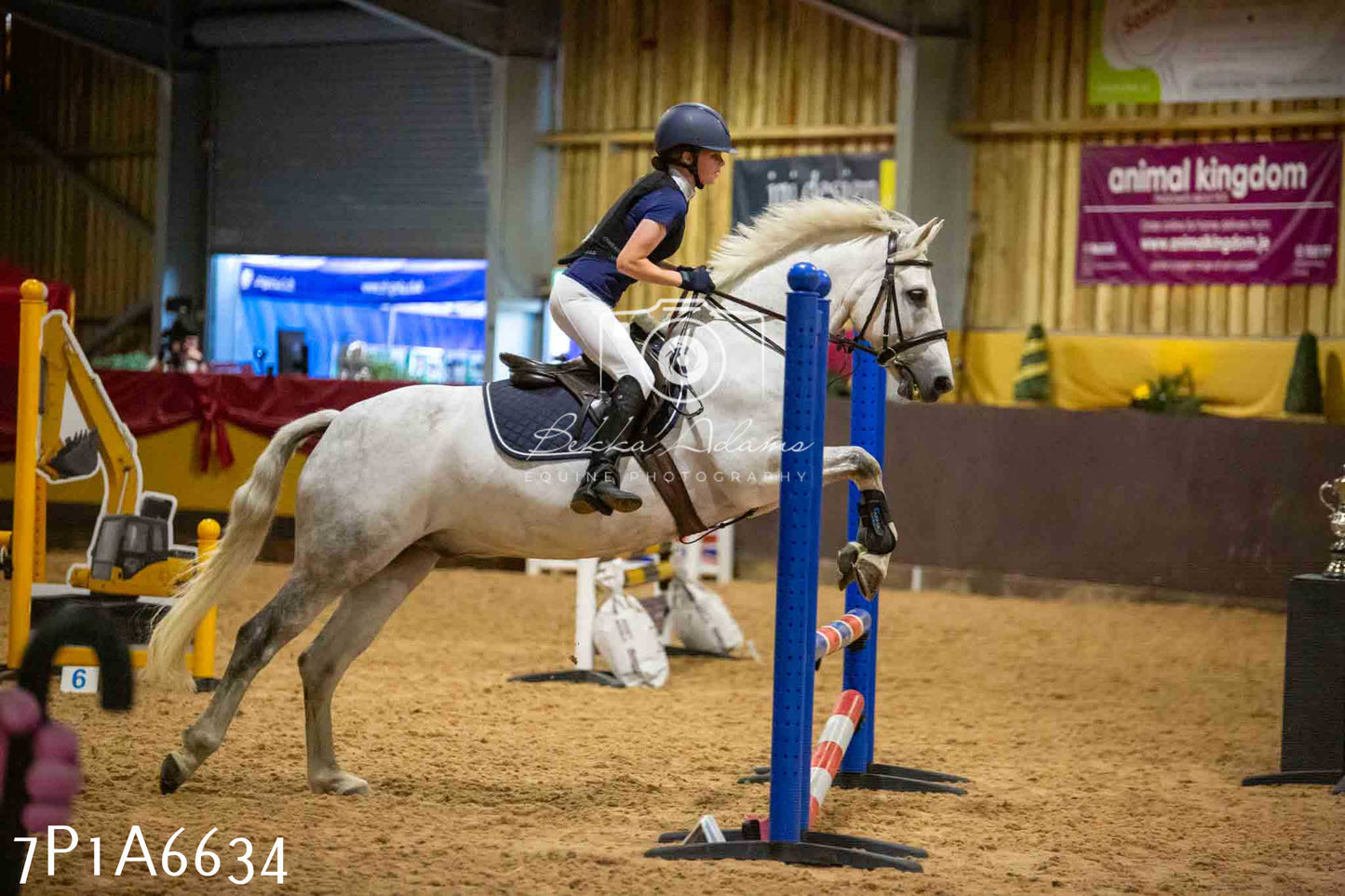 JHOYS 2023 - 15th September - Show Jumping