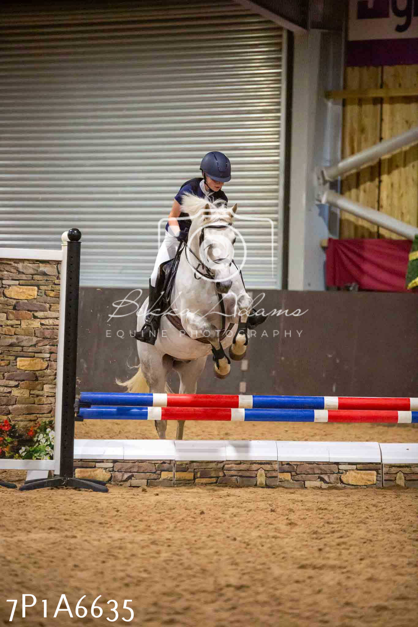JHOYS 2023 - 15th September - Show Jumping
