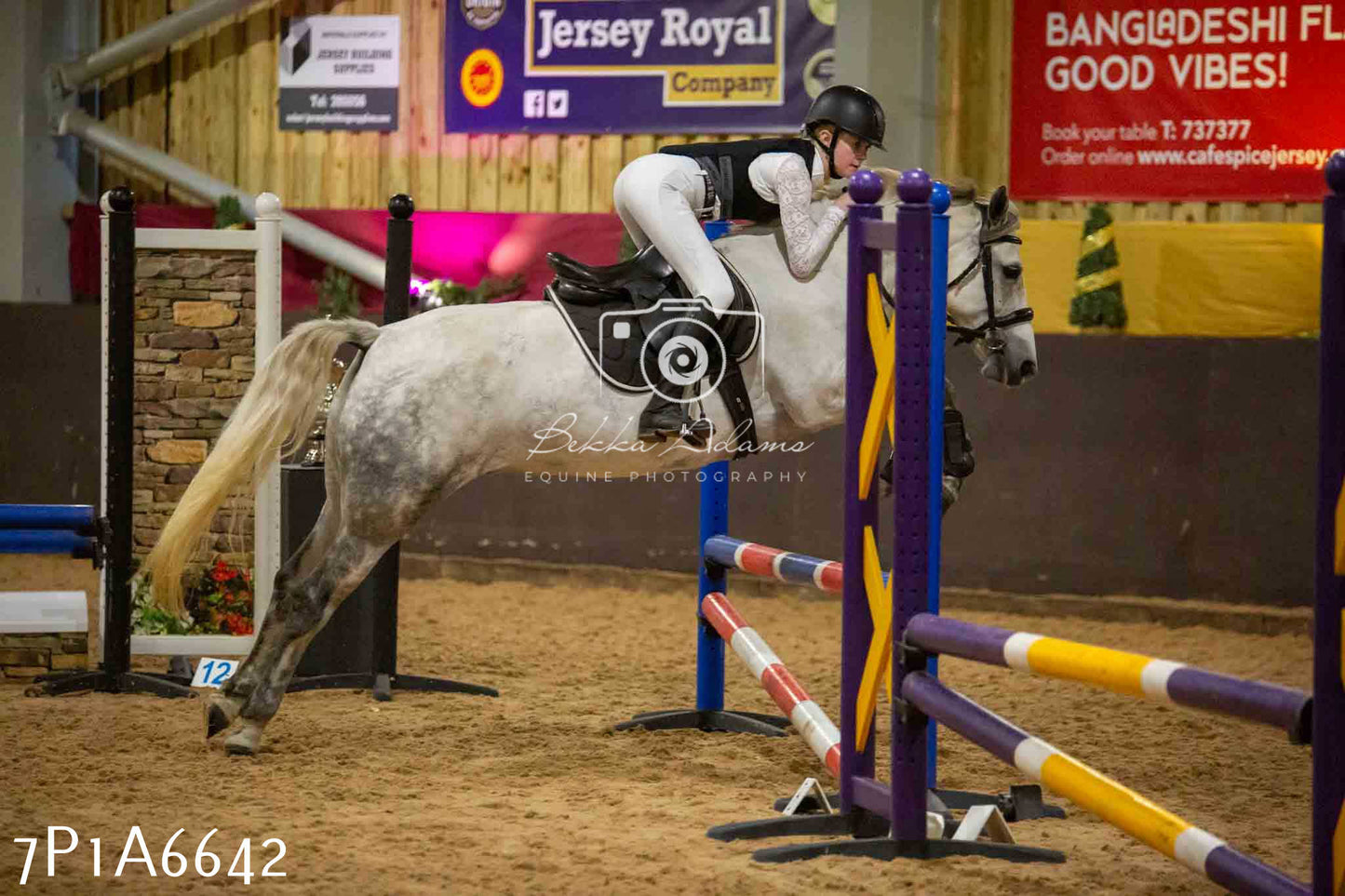 JHOYS 2023 - 15th September - Show Jumping
