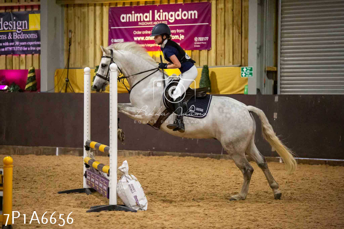 JHOYS 2023 - 15th September - Show Jumping