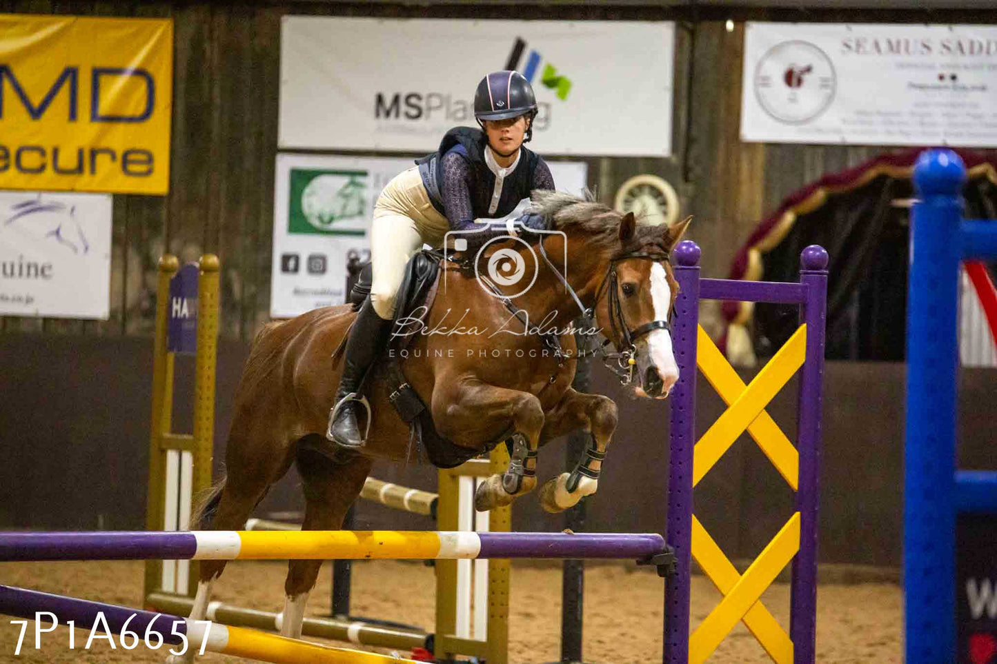 JHOYS 2023 - 15th September - Show Jumping