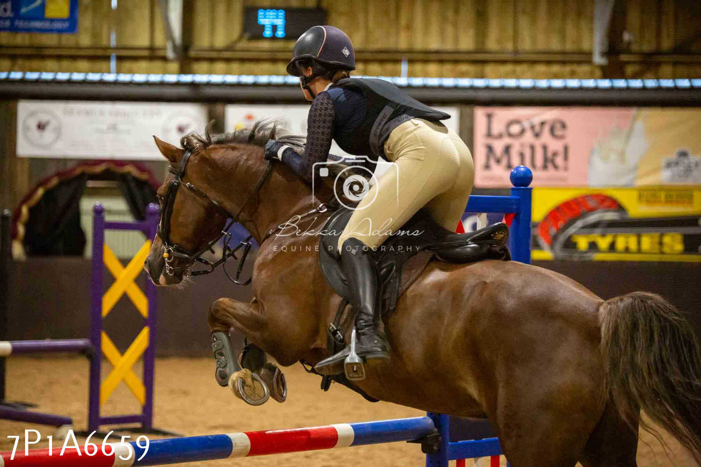 JHOYS 2023 - 15th September - Show Jumping