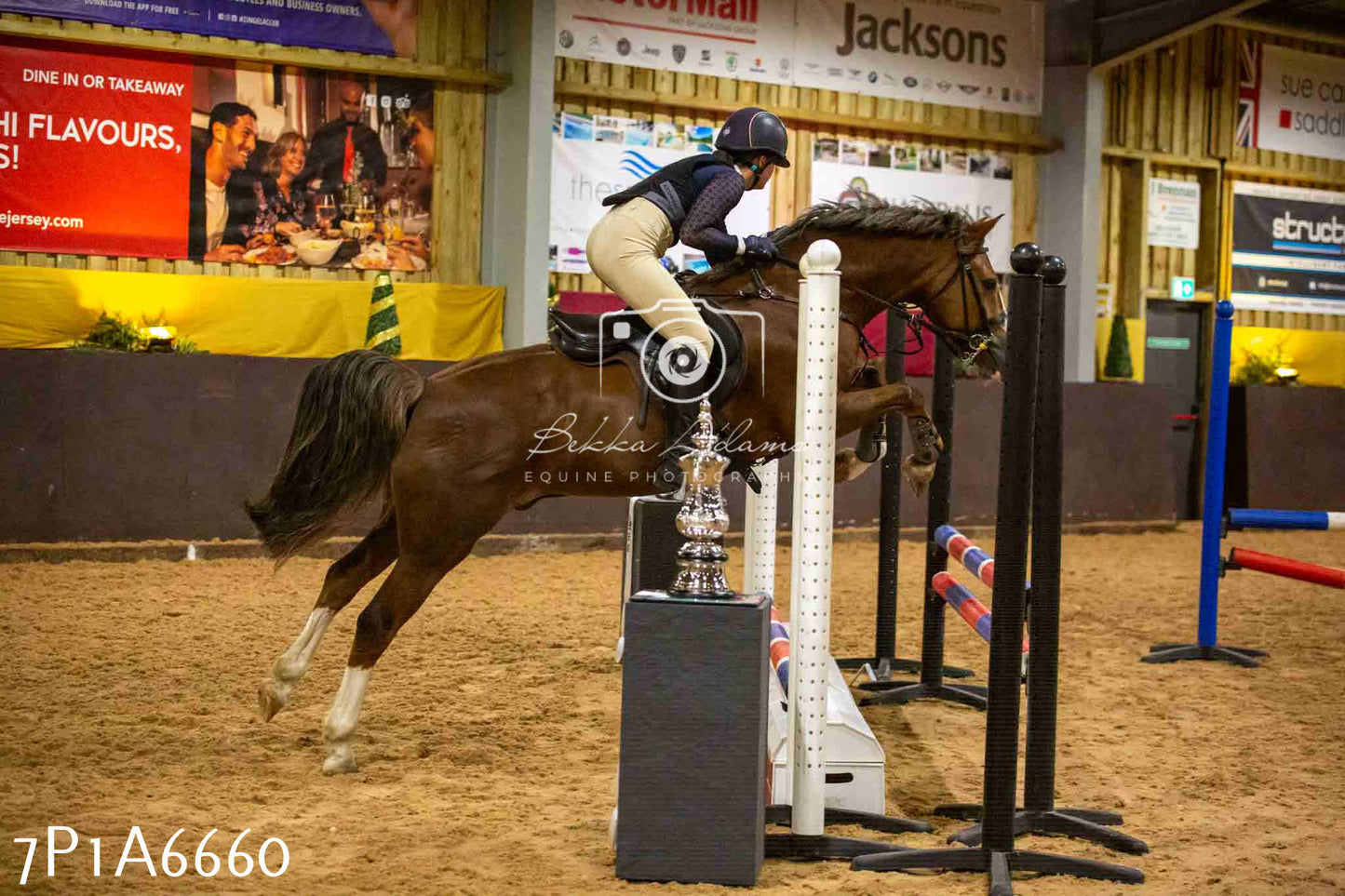 JHOYS 2023 - 15th September - Show Jumping
