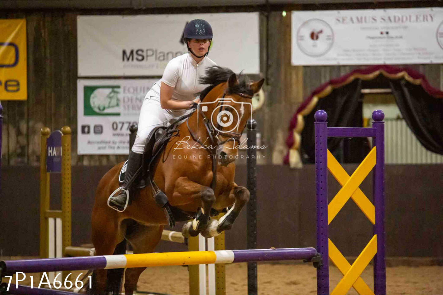 JHOYS 2023 - 15th September - Show Jumping