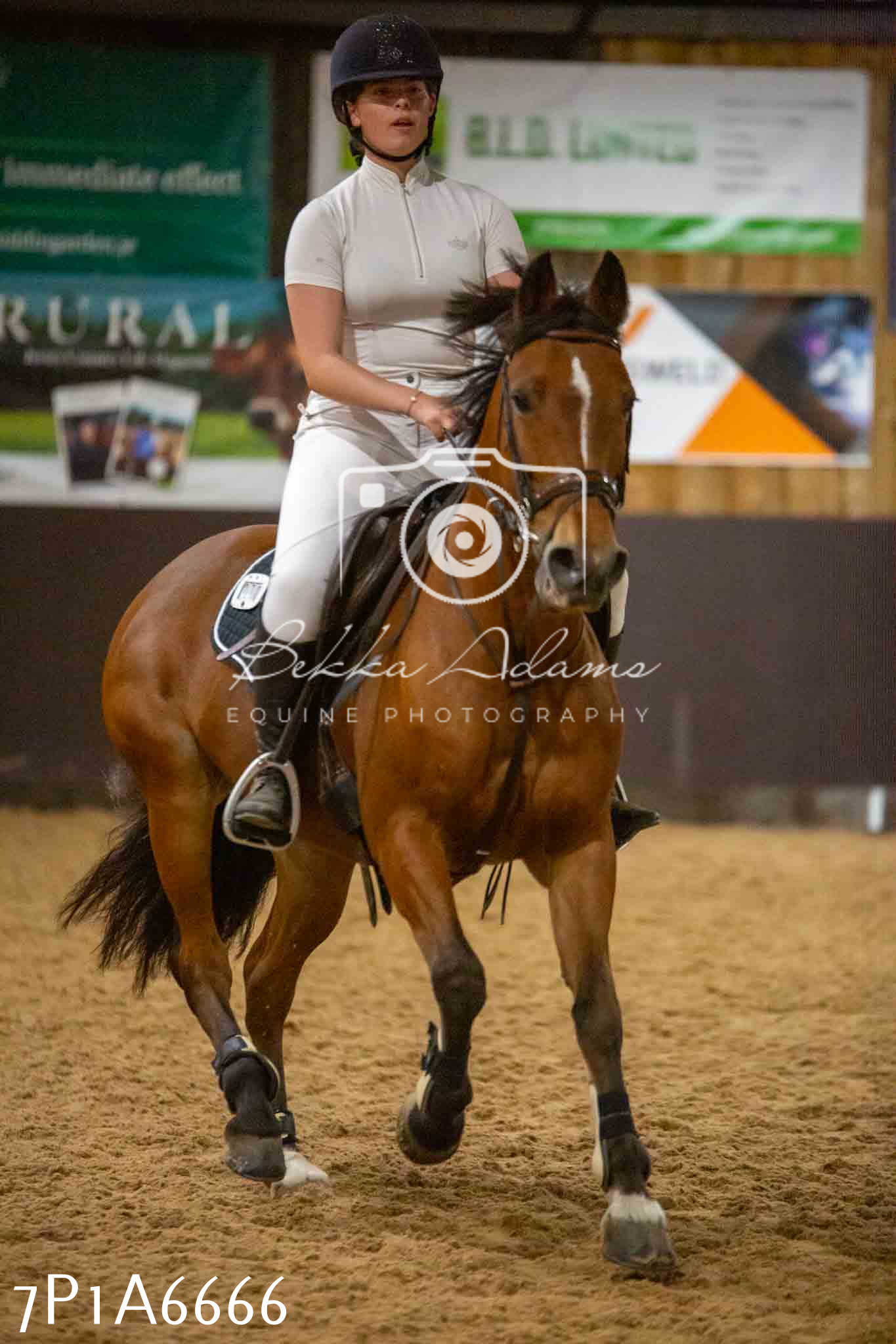 JHOYS 2023 - 15th September - Show Jumping