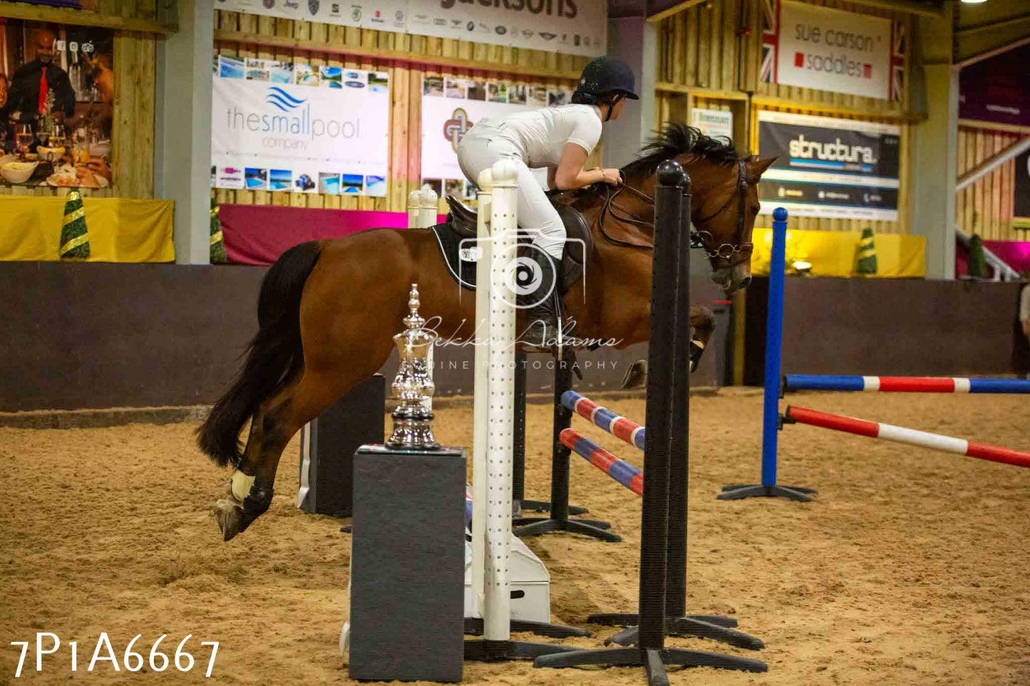 JHOYS 2023 - 15th September - Show Jumping