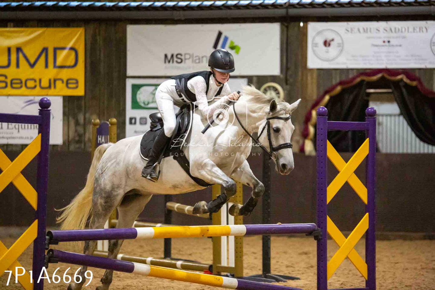JHOYS 2023 - 15th September - Show Jumping