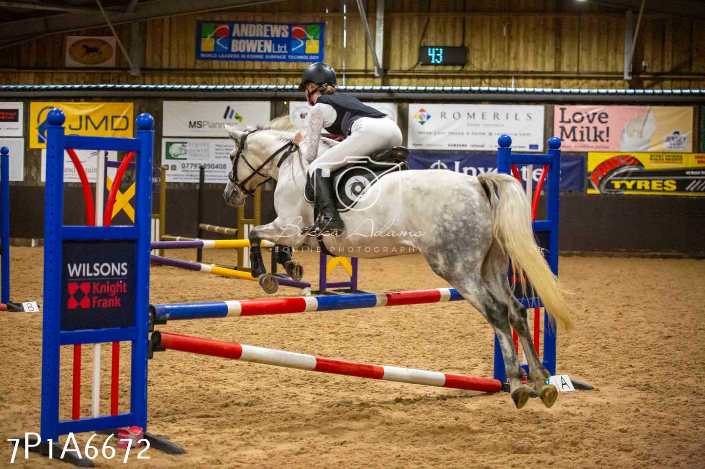 JHOYS 2023 - 15th September - Show Jumping