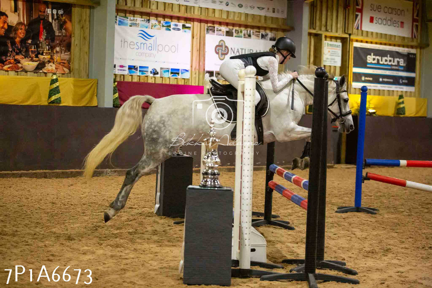 JHOYS 2023 - 15th September - Show Jumping
