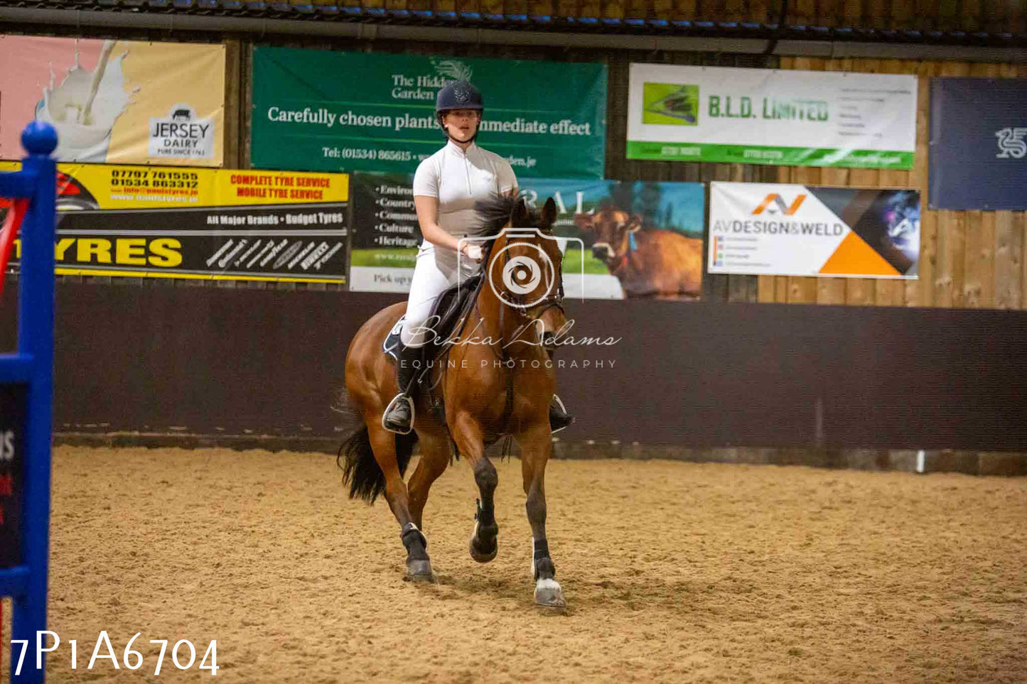 JHOYS 2023 - 15th September - Show Jumping