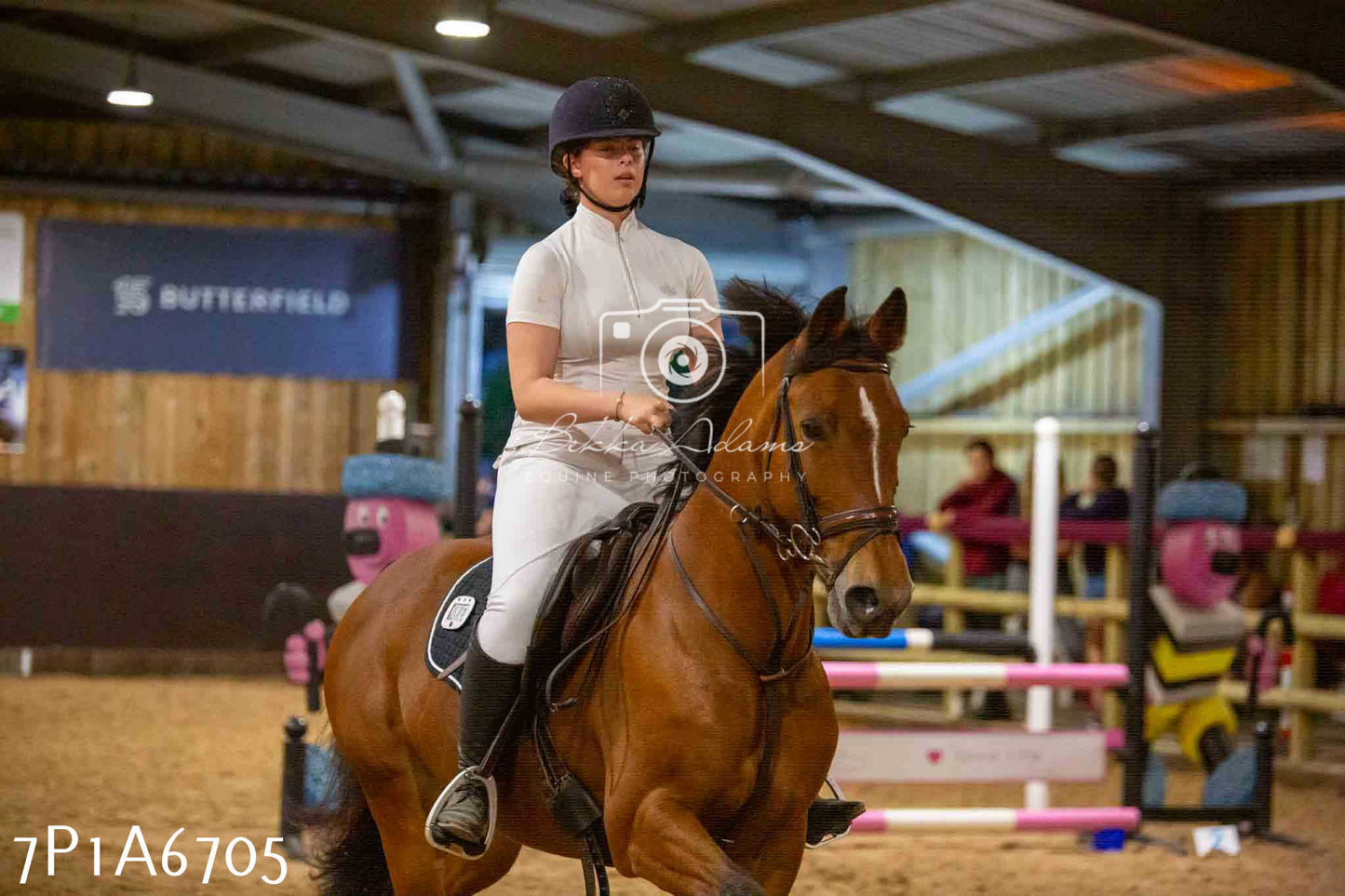 JHOYS 2023 - 15th September - Show Jumping