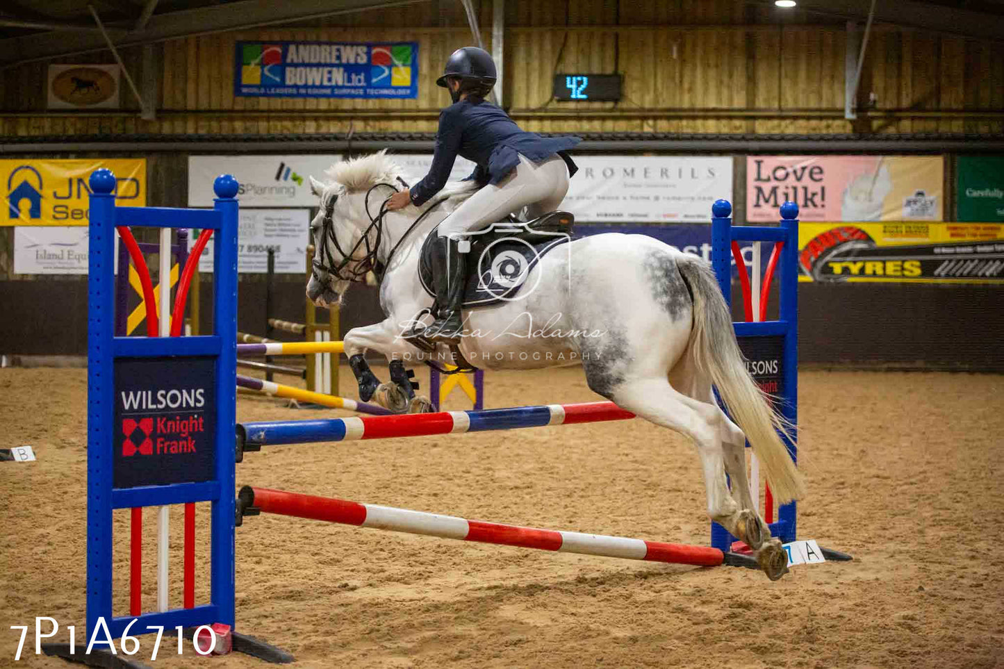 JHOYS 2023 - 15th September - Show Jumping