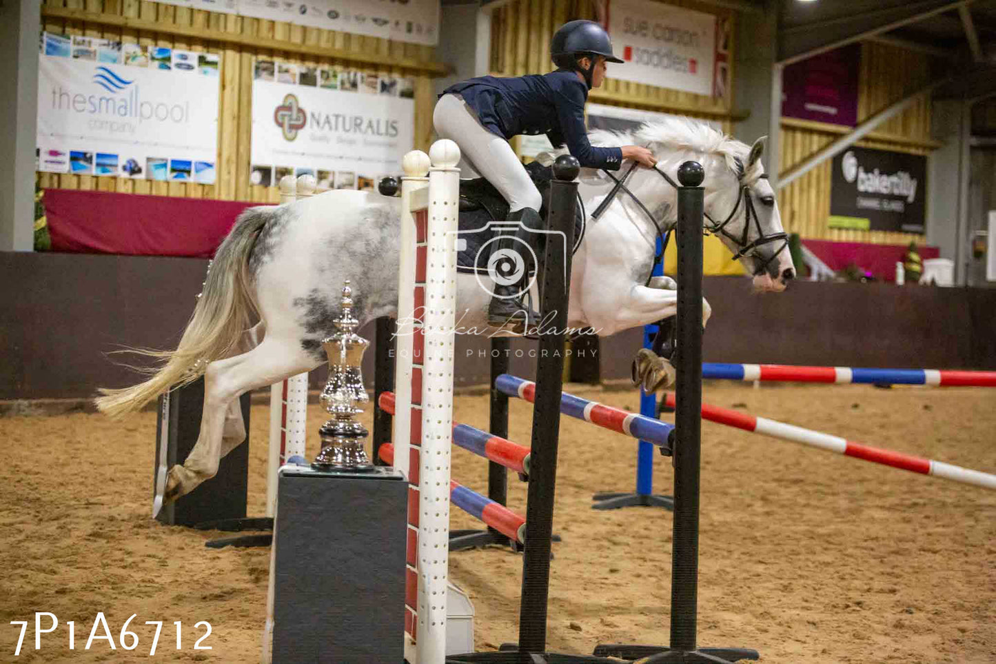 JHOYS 2023 - 15th September - Show Jumping