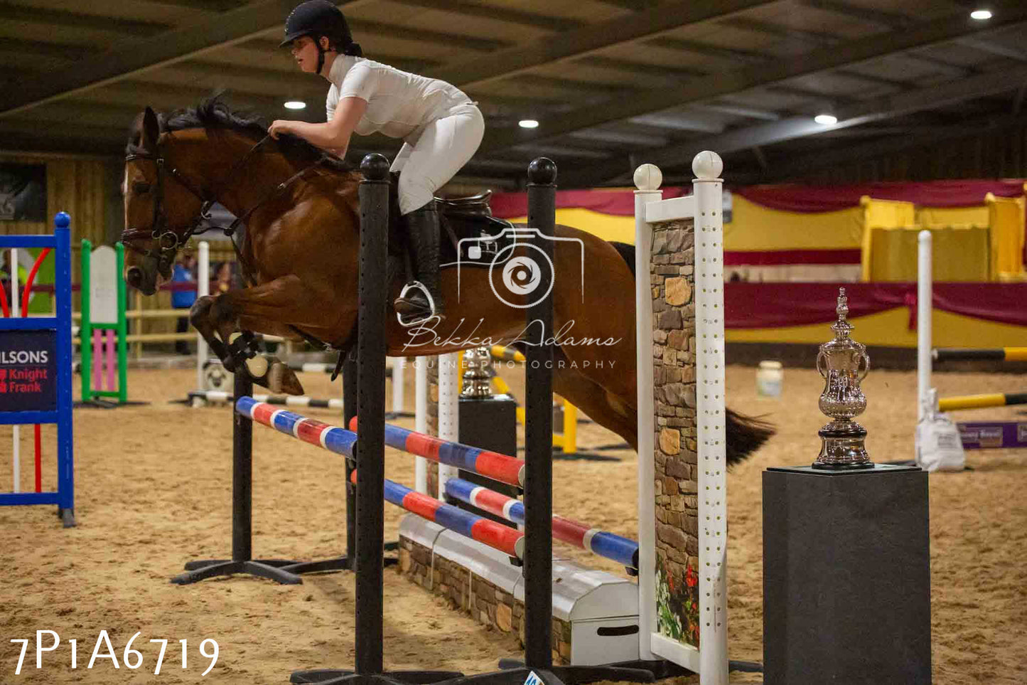 JHOYS 2023 - 15th September - Show Jumping