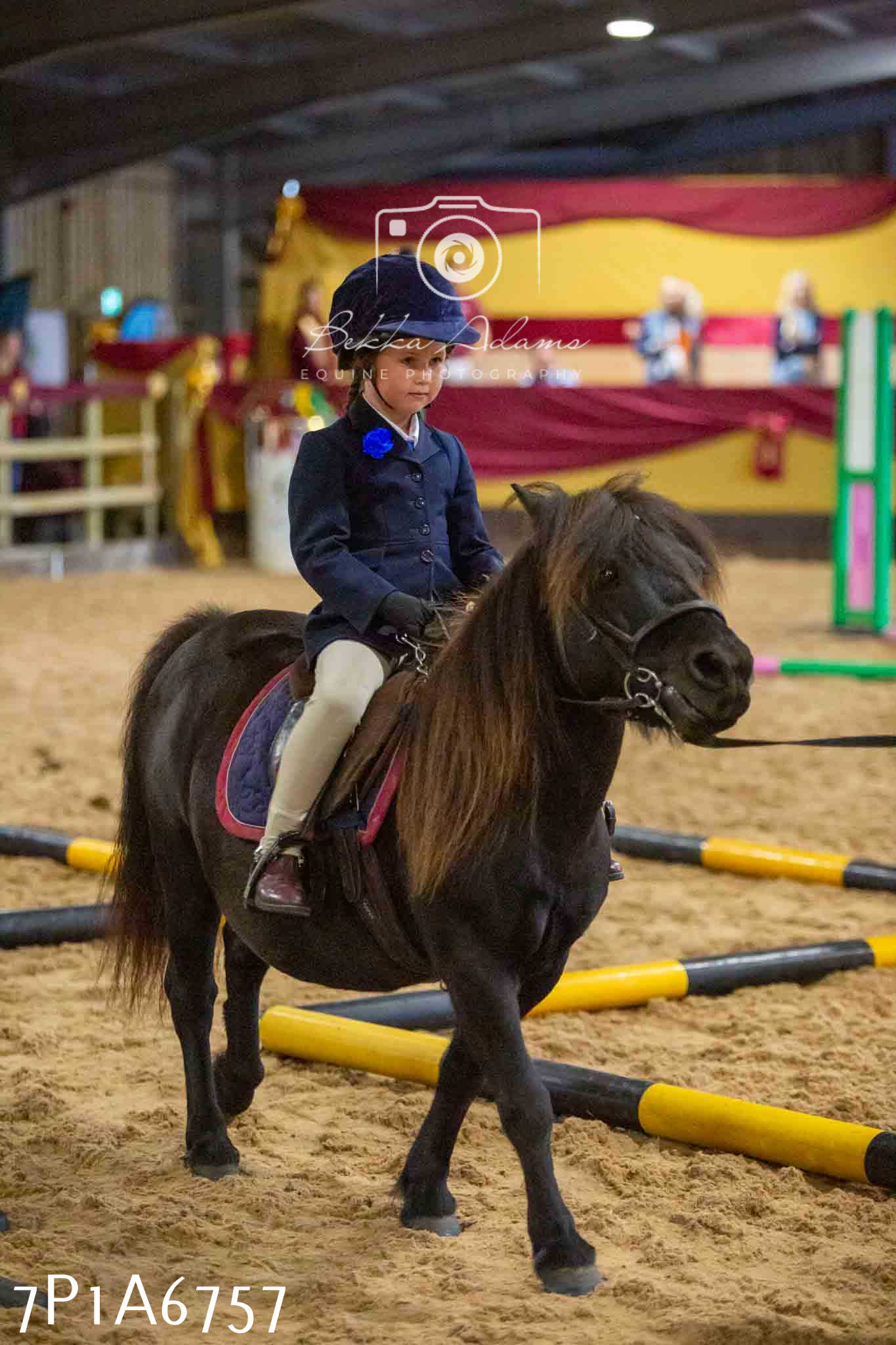 JHOYS 2023 - 16th September - Show Jumping Pt1