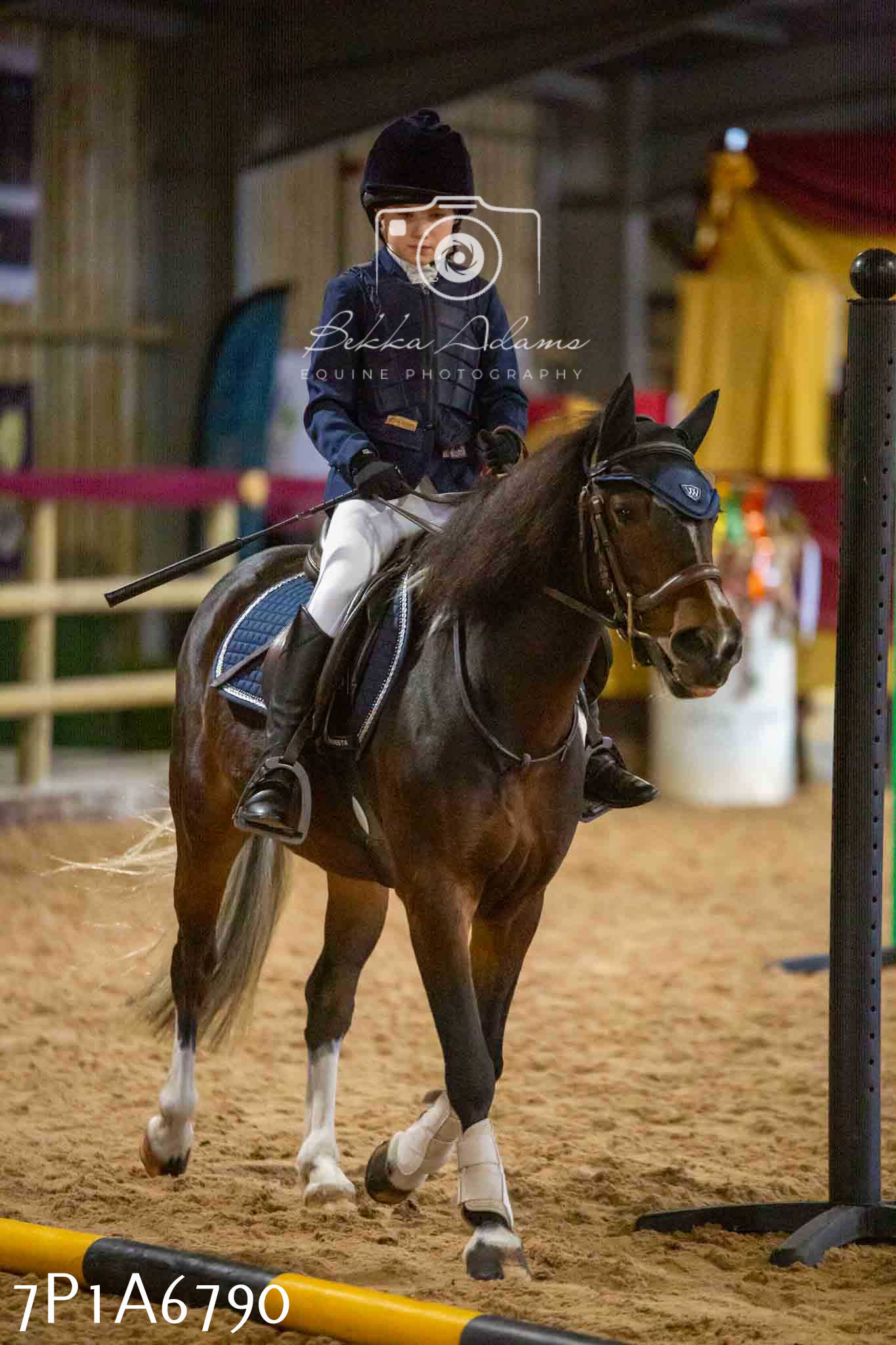 JHOYS 2023 - 16th September - Show Jumping Pt1