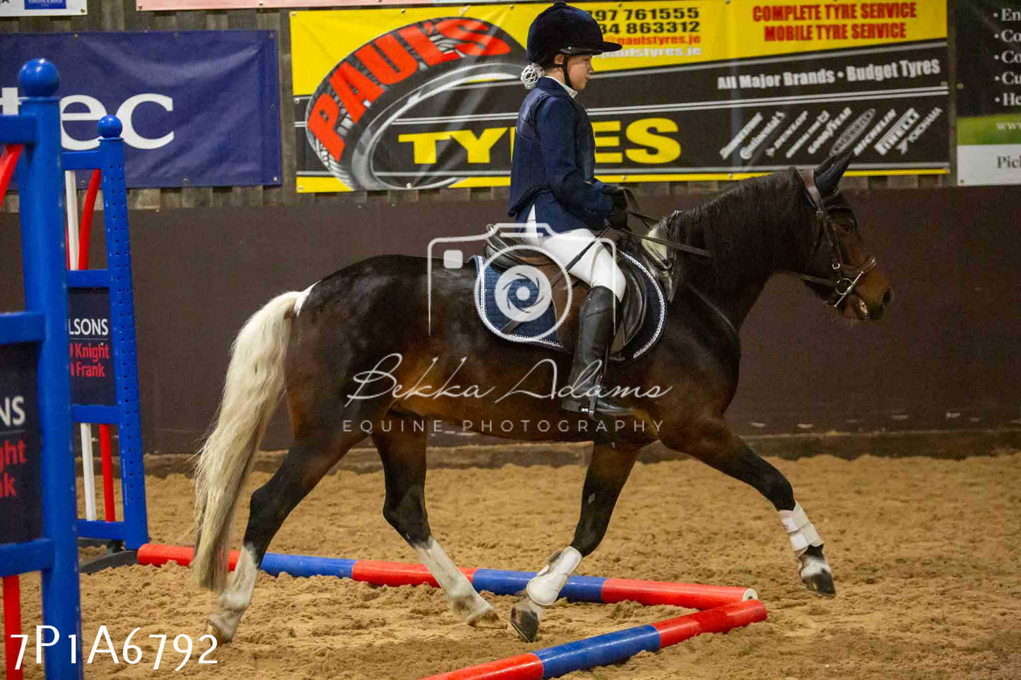 JHOYS 2023 - 16th September - Show Jumping Pt1