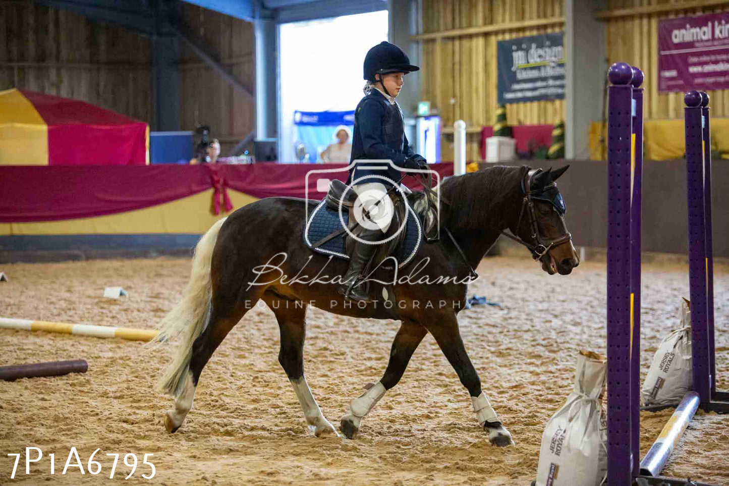 JHOYS 2023 - 16th September - Show Jumping Pt1
