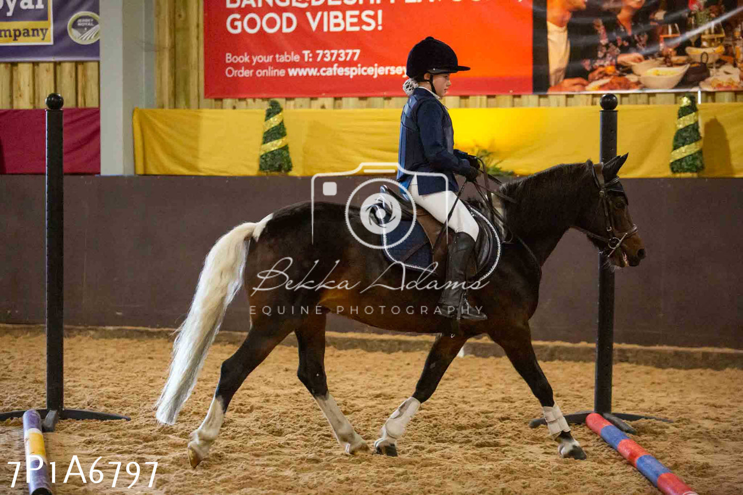 JHOYS 2023 - 16th September - Show Jumping Pt1